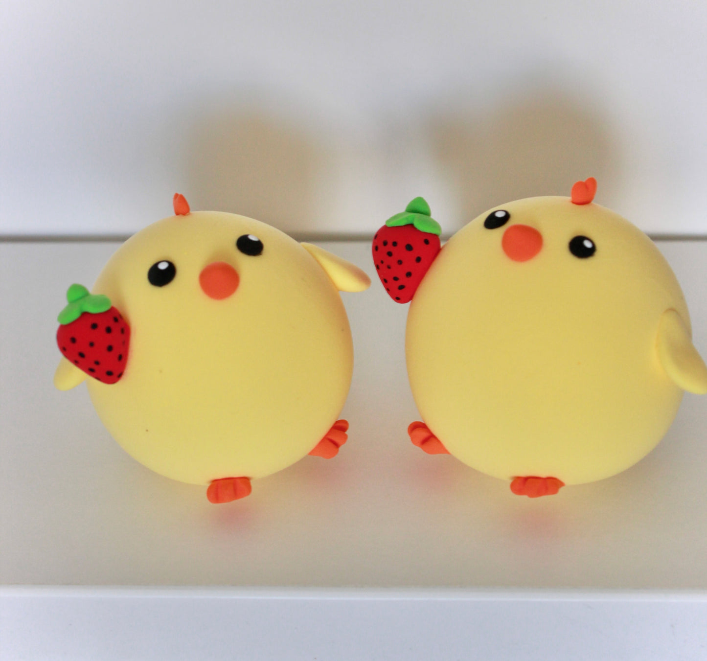 Chicken & strawberry